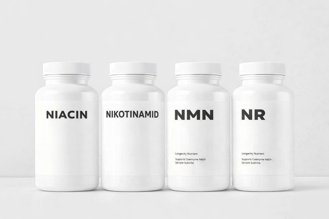 Minimalistisk coverbillede med fire hvide kosttilskudsbøtter på lys baggrund, mærket “Niacin”, “Nikotinamid”, “NMN” og “NR”, som illustrerer de forskellige former for B3-vitamin.