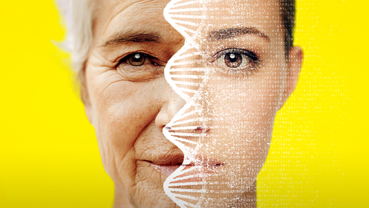 Illustration af biologisk aldring og longevity med ansigt der viser ung og ældre version samt DNA-struktur