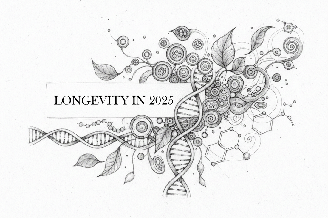 Illustreret DNA-dobbeltspiral med botaniske elementer og molekylærstrukturer — kunstnerisk repræsentation af longevity-forskningens gennembrud i 2025